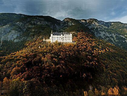 Blick auf ein großes Schloss in mitten eines Nadelwaldes an einem Berg