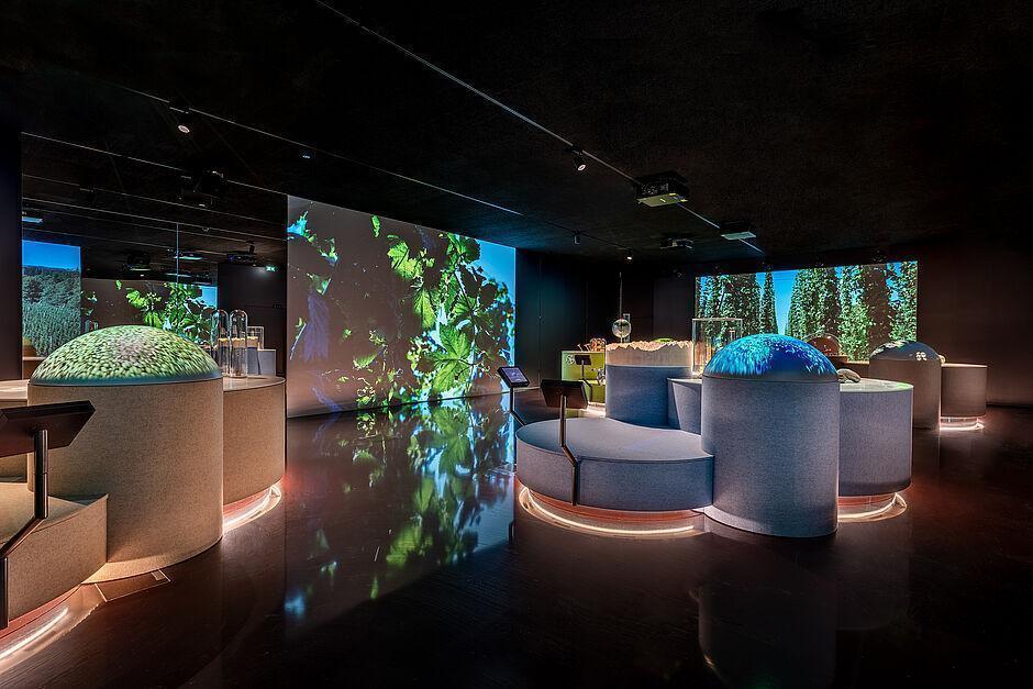 Ein Blick in die futuristische Erlebniswelt des Braukunst Hauses