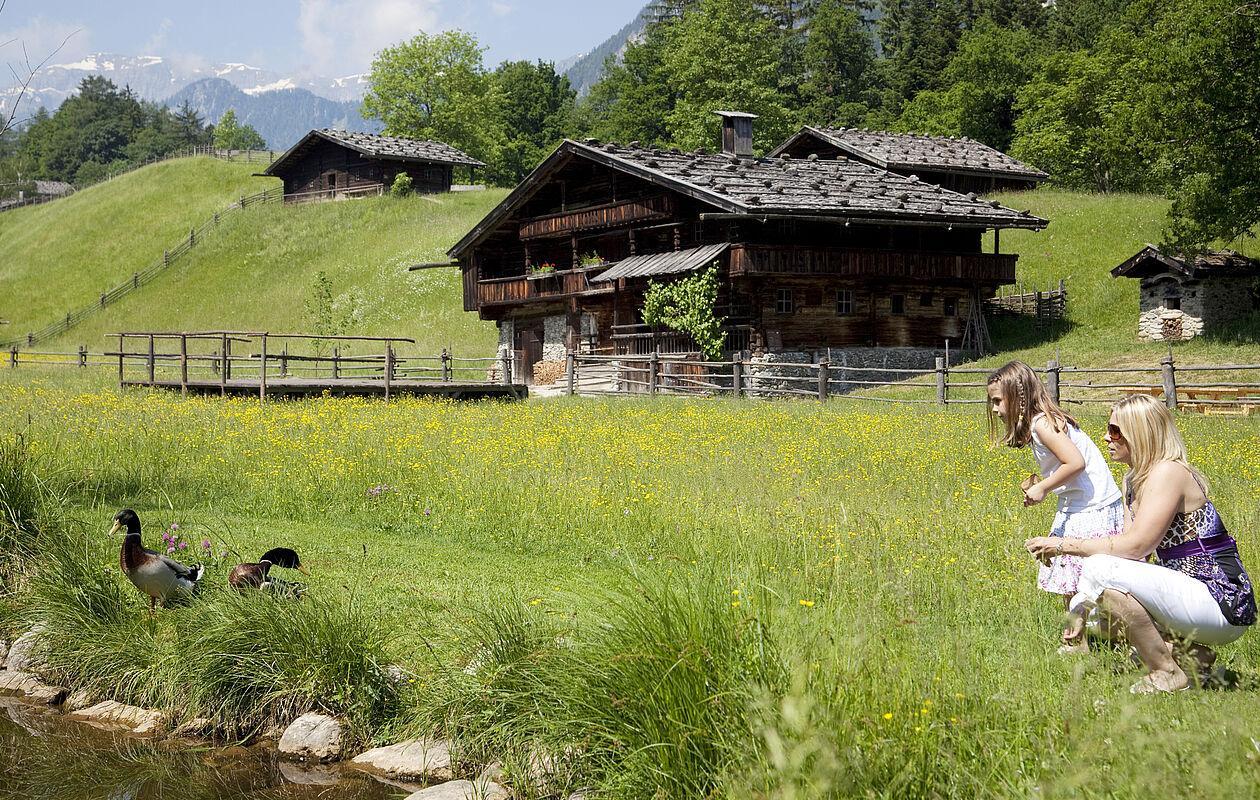 Mutter und Tochter füttern Enten auf einer Wiese im Familienhotel Zillertal