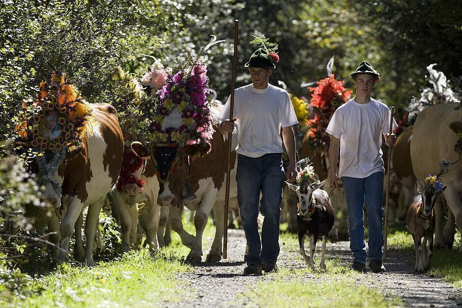Zwei Hirten laufen mit ihren Kühen und einer Ziege über die Wiese in Tirol 
