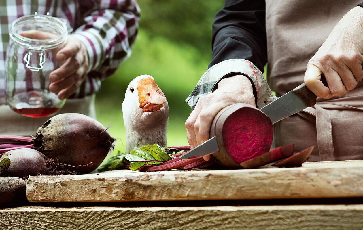 Mann schneidet auf einem Holzbrett Rote Beete Knollen zum Einlegen 