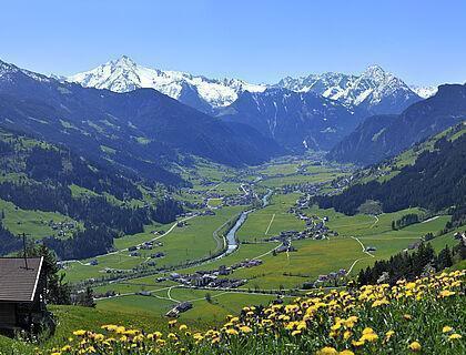 Blick von der grünen Wiese auf das Zillertal