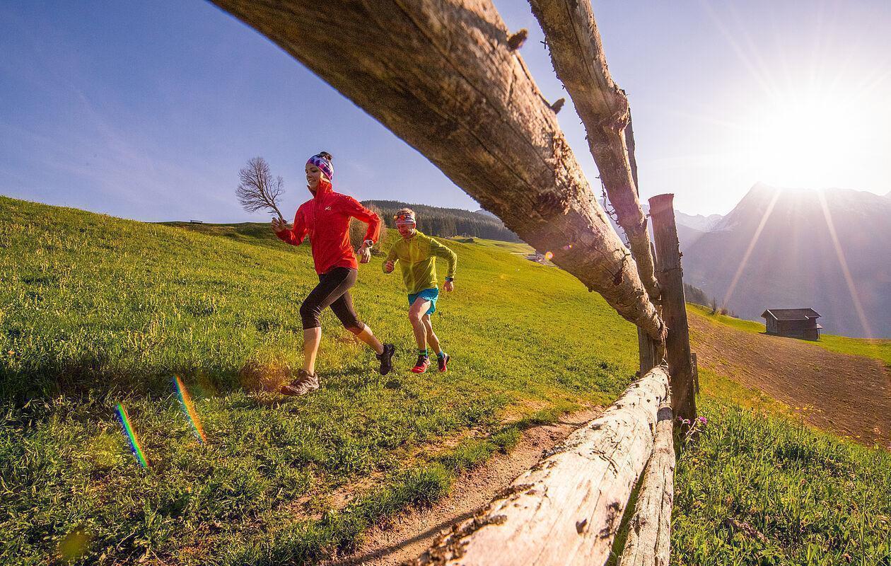 Zwei Jogger laufen bei Sonnenschein über eine Bergweide