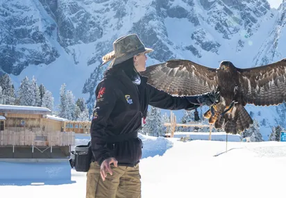 FalknerOase_im_Winter__c_Mayrhofner_Bergbahnen.jpg