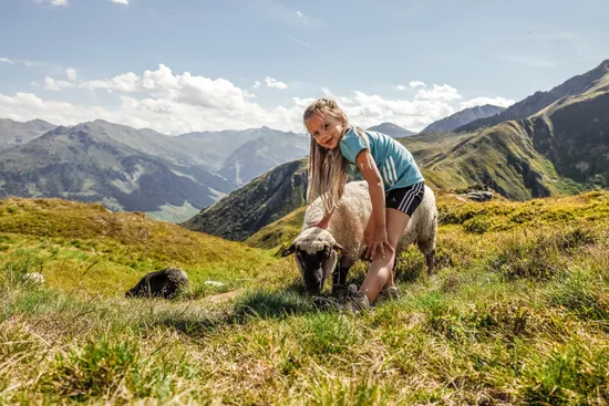 Spieljoch_Sommer__c_AndiFrank__2_.jpg