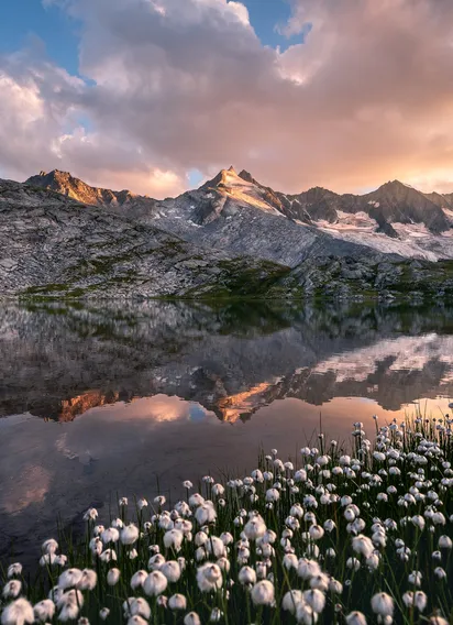 7_Juli_copyright__Thomas_Pfister-8_a.jpg