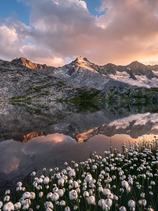 7_Juli_copyright__Thomas_Pfister-8_a.jpg