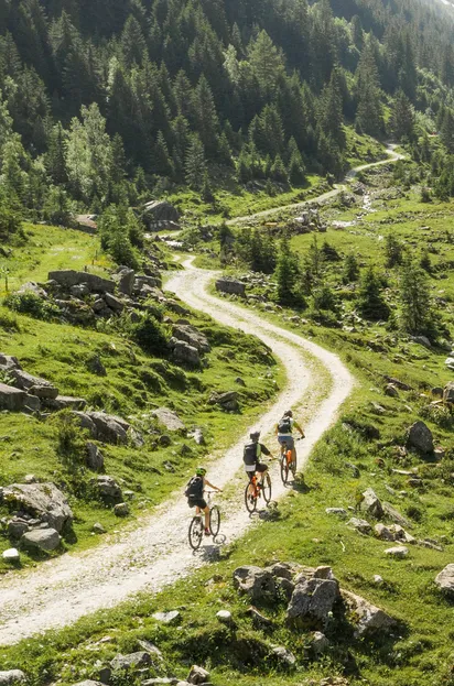 biketour_stilluptal_bach_foto_lorenz_seiwald.jpg